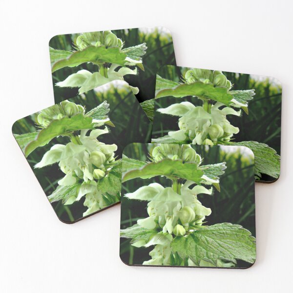 Item preview, Stinging nettle - blossom - nature - photography designed and sold by Connys Colorful World.