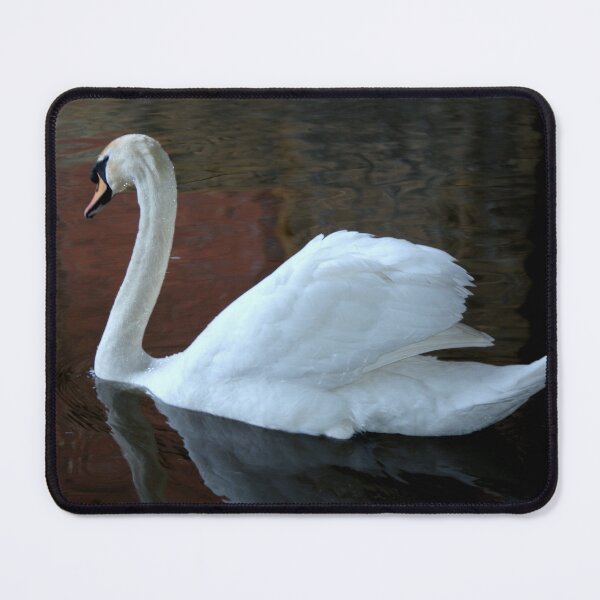 Item preview, Lone Swan: Power & Grace designed and sold by Philip-F-Webb.