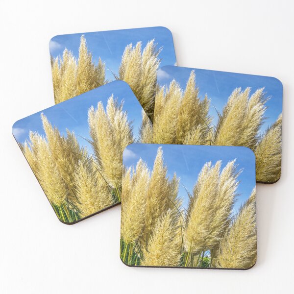 Item preview, Pampas Grass designed and sold by Paul Thompson Photography.