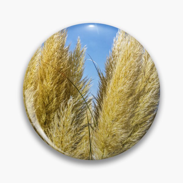 Item preview, Pampas Grass designed and sold by Paul Thompson Photography.