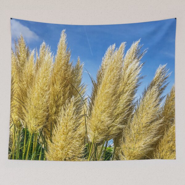 Item preview, Pampas Grass designed and sold by Paul Thompson Photography.