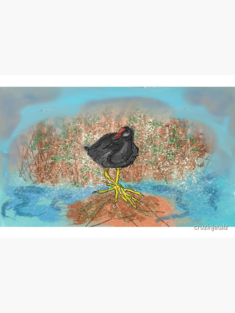 Thumbnail 2 of 2, Postcard, Moorhen on reedbed British wildlife UK canal waterfowl designed and sold by cruzinjewlz.