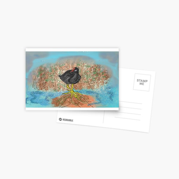 Moorhen on reedbed British wildlife UK canal waterfowl Postcard