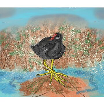 Artwork thumbnail, Moorhen on reedbed British wildlife UK canal waterfowl by cruzinjewlz