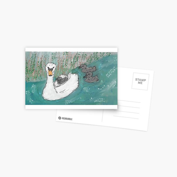 Swan & cygnets UK canal wildlife waterfowl British wildlife Postcard