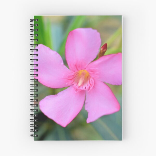 Item preview, Beautiful snap of pink flower designed and sold by Rav33822.