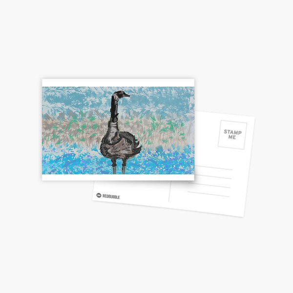 Canadian goose on guard Nature British wild birds waterfowl wildlife Postcard