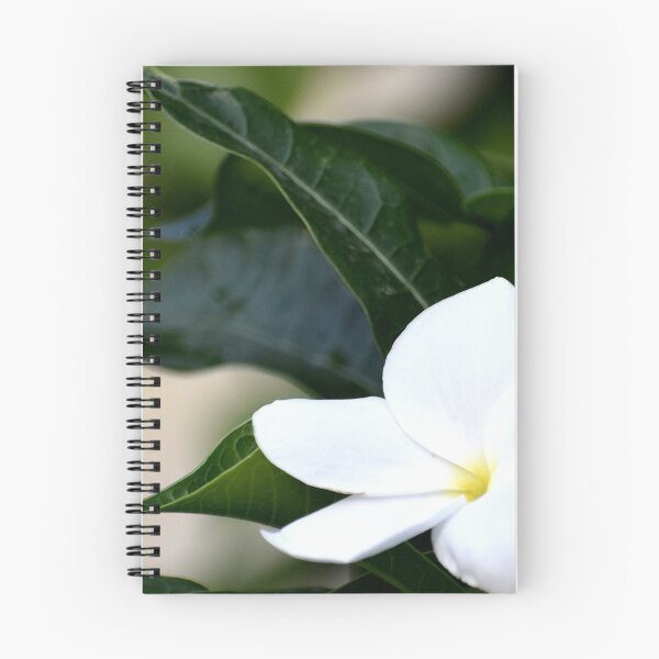 Item preview, Beautiful snap of white flower designed and sold by Rav33822.