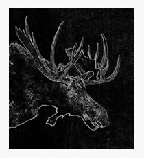MOOSE II Photographic Print