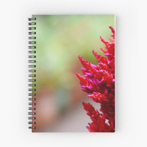 Item preview, Beautiful snap of red flower designed and sold by Rav33822.