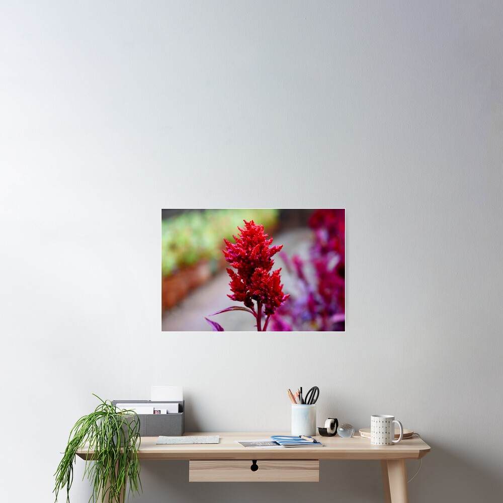 Vista previa del artículo con la obra «Póster», diseñado y vendido por Rav33822.