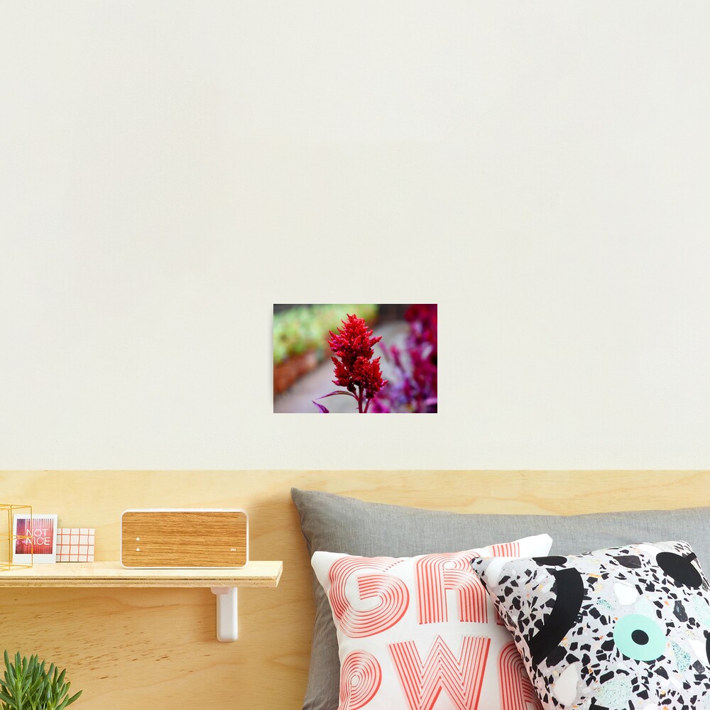Vista previa del artículo con la obra «Lámina fotográfica», diseñado y vendido por Rav33822.