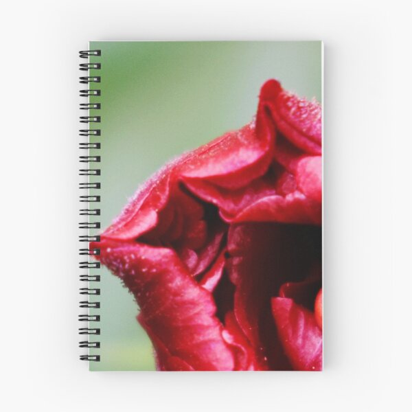 Item preview, Beautiful snap of red flower designed and sold by Rav33822.