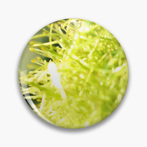 Item preview, Beautiful snap of green flower designed and sold by Rav33822.