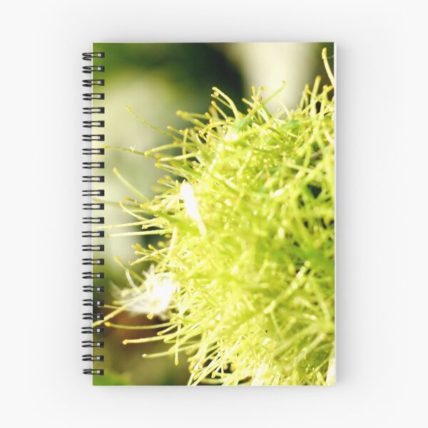 Item preview, Beautiful snap of green flower designed and sold by Rav33822.