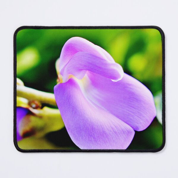 Item preview, Beautiful snap of purple flower designed and sold by Rav33822.