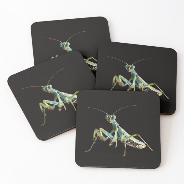 Item preview, Realistic Mantis designed and sold by Jaro90.