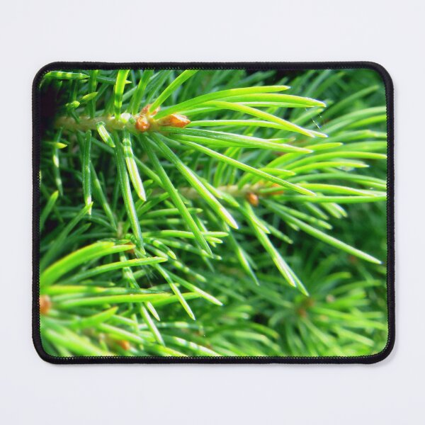 Item preview, Pine - closeup - tree - nature designed and sold by Connys Colorful World.