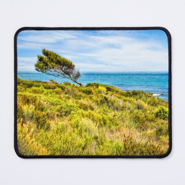 Item preview, Windswept Pine designed and sold by Viv Thompson Photography .