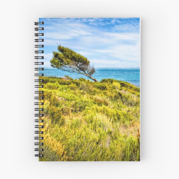 Item preview, Windswept Pine designed and sold by Viv Thompson Photography .