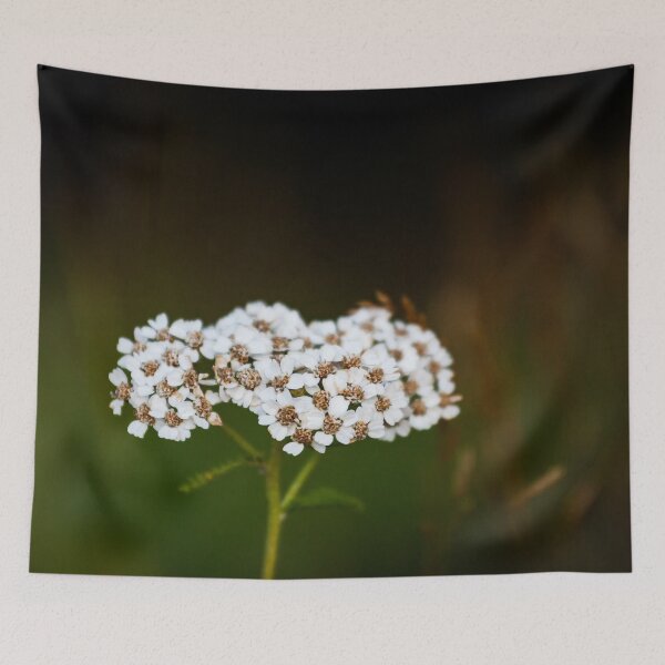 Item preview, Yarrow designed and sold by NunoPires.