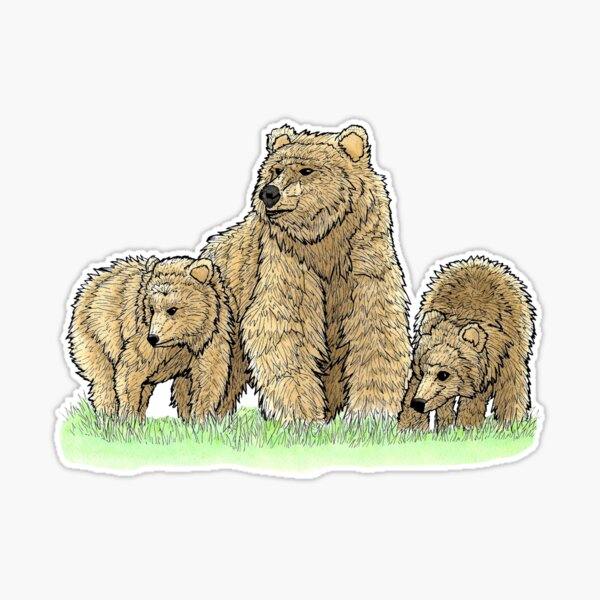 Mama Bear and Cubs Sticker for Sale by Erin0987