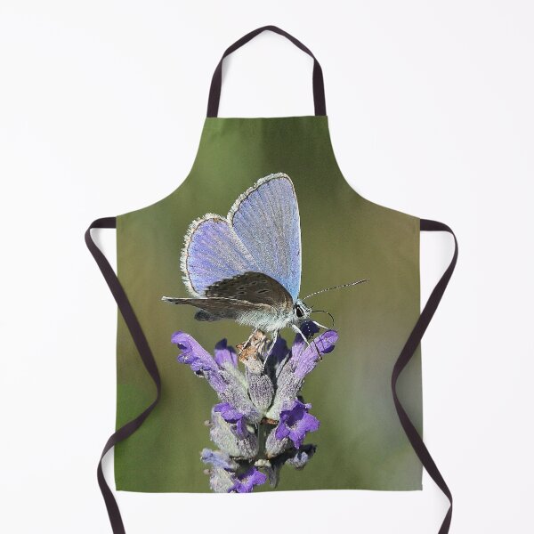 Item preview, vr 3271 / finition 2023 - 7 Papillon Okaio Créations Olavia-Olao designed and sold by o.okaïo.