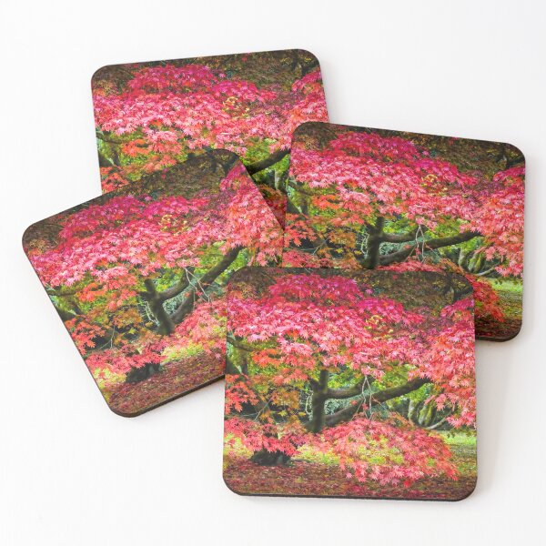Item preview, Fiery Red Acer designed and sold by Viv Thompson Photography .