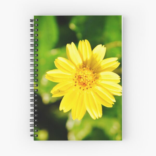 Item preview, Beautiful snap of yellow flower designed and sold by Rav33822.