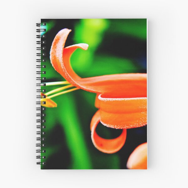 Item preview, Beautiful snap of saffron flower designed and sold by Rav33822.