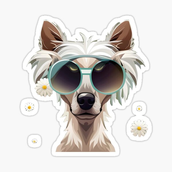 Cute Chinese Crested wearing sunglasses Sticker
