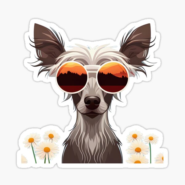 Cool Chinese Crested wearing sunglasses Sticker