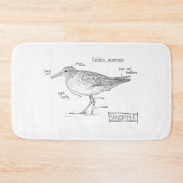 Item preview, Sandpiper Journal Sketch designed and sold by SarehPuetz.