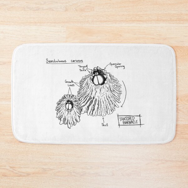 Item preview, Thatched Barnacle Journal Sketch designed and sold by SarehPuetz.