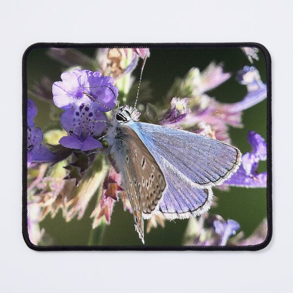 Item preview, vr 3272 / finition 2023 - 8   Papillon   Okaio Créations  Olavia-Olao designed and sold by o.okaïo.