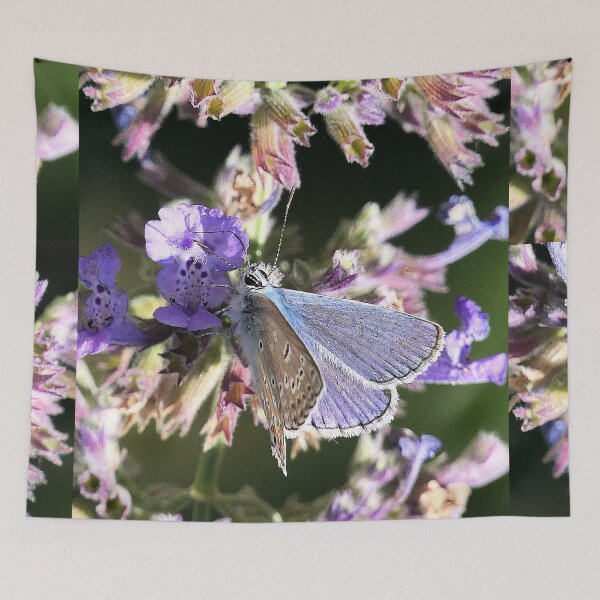 Item preview, vr 3272 / finition 2023 - 8   Papillon   Okaio Créations  Olavia-Olao designed and sold by o.okaïo.