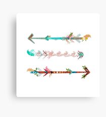 arrows Canvas Print