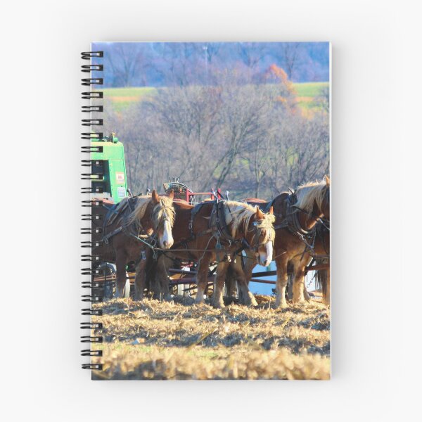 Item preview, Amish Haymaker in Lancaster County, Pennsylvania designed and sold by Polly Peacock.