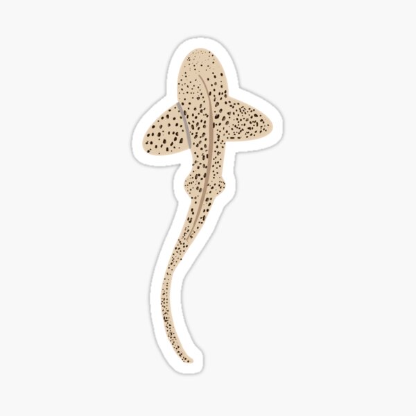 Item preview, Leopard shark designed and sold by avery-jane-art.