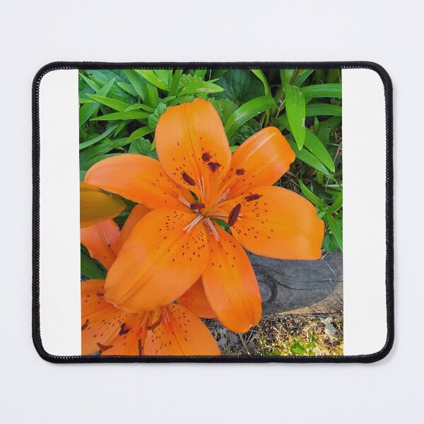 Item preview, Tiger Lily designed and sold by ZSqueakyGirlZ.