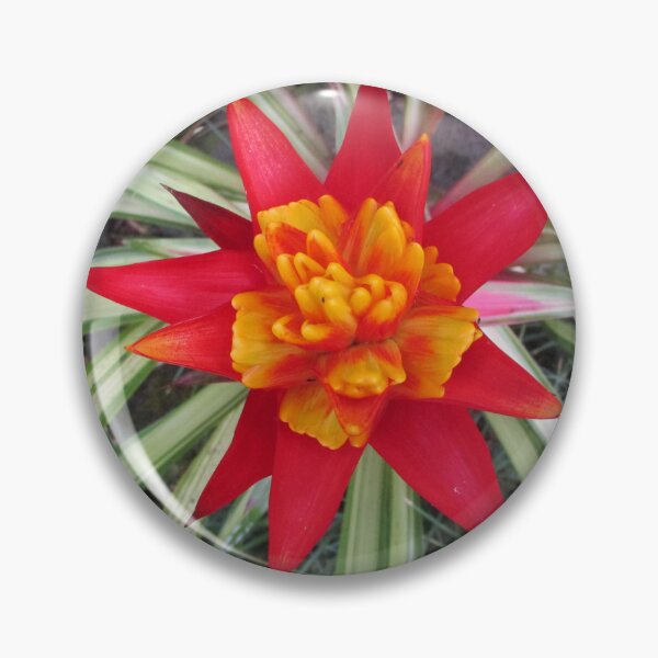 Artikelvorschau, Hawaii-Blume Nr. 1 entworfen und verkauft von LifExtroardinar.