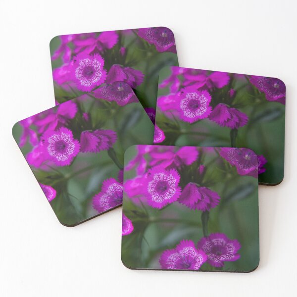 Item preview, Purple Sweet Williams designed and sold by Dismal-Rain.