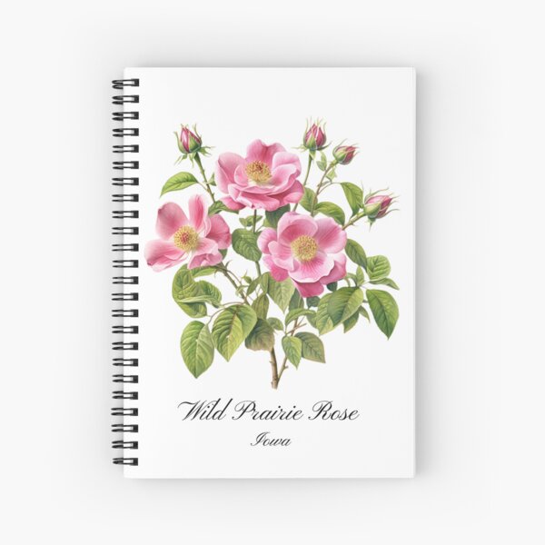 Item preview, Iowa State Flower-Wild Prairie Rose designed and sold by Counterbalance Dzigns.