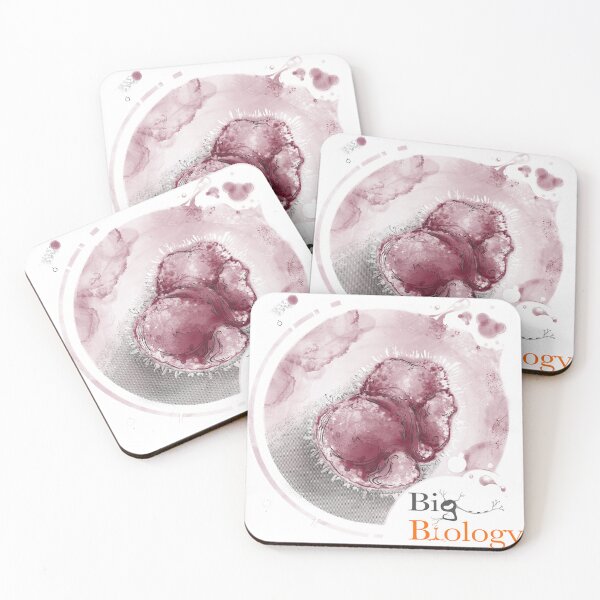Item preview, Inherency designed and sold by BigBiology.