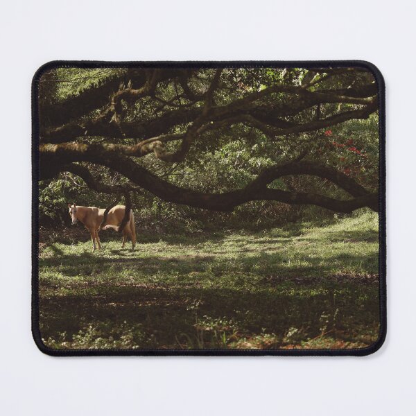 Item preview, Horse on the farm designed and sold by anafrancisconi.