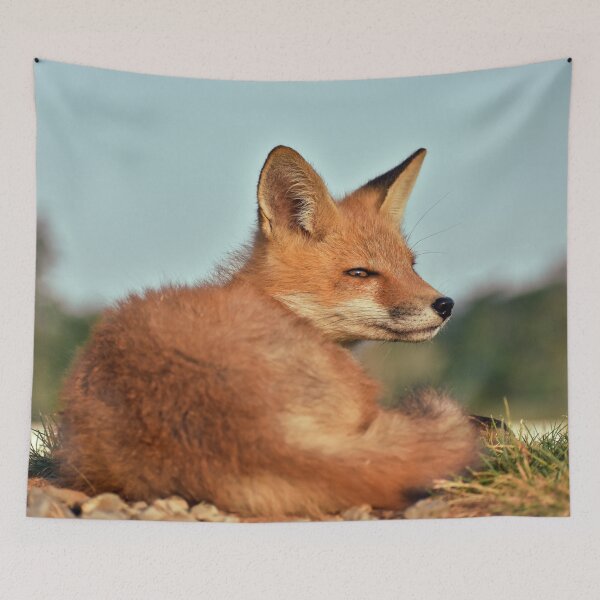 Item preview, Alert Red Fox Kit designed and sold by athousandwordss.