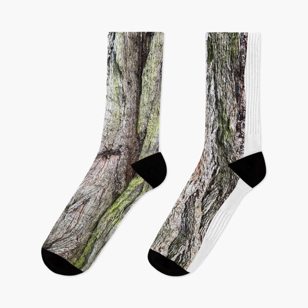 Item preview, Ancient Tree Trunk Abstract designed and sold by Londonimages.