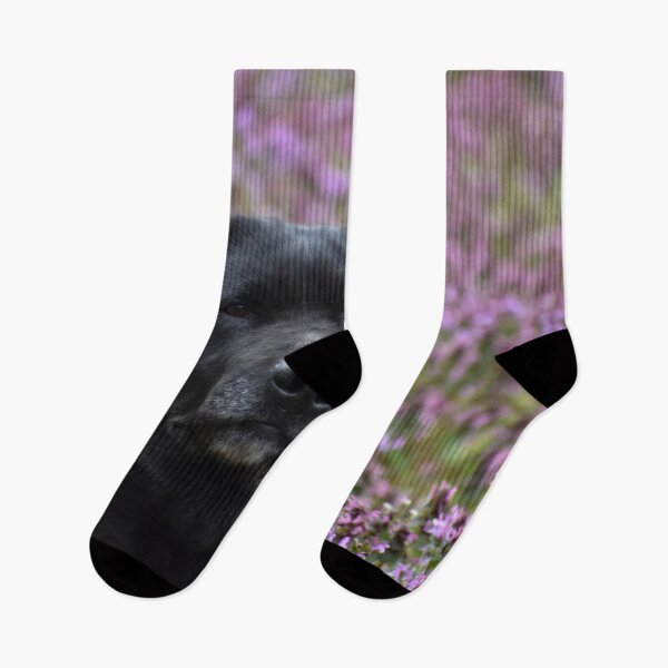 Item preview, A Dog in the Flowers designed and sold by athousandwordss.