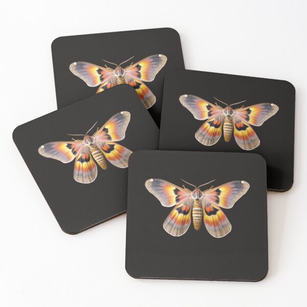 Item preview, Realistic Moth designed and sold by Jaro90.