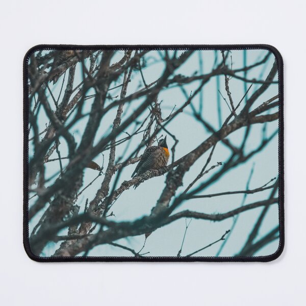 Item preview, Woodpecker designed and sold by anafrancisconi.